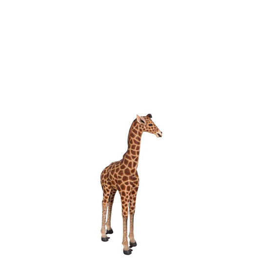 Jungle: Baby Giraffe Statue